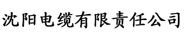 大香蕉在线电影一区电缆厂logo